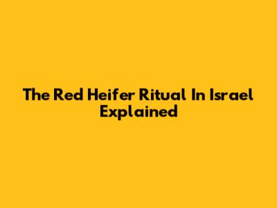 The Red Heifer Ritual In Israel Explained