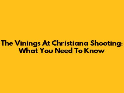 The Vinings At Christiana Shooting: What You Need To Know