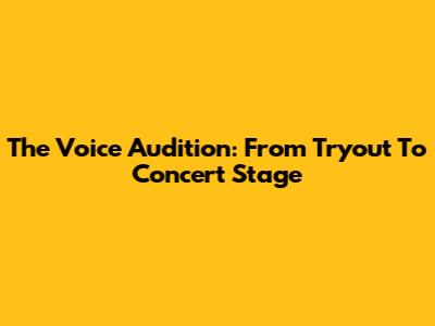 The Voice Audition: From Tryout To Concert Stage