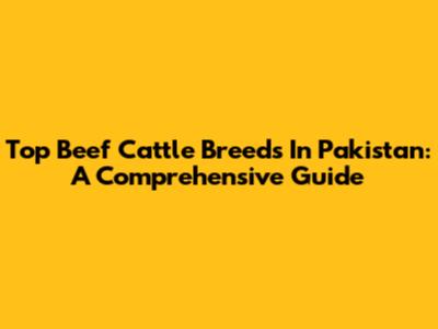Top Beef Cattle Breeds In Pakistan: A Comprehensive Guide