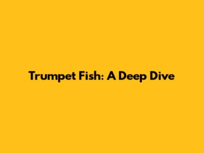 Trumpet Fish: A Deep Dive