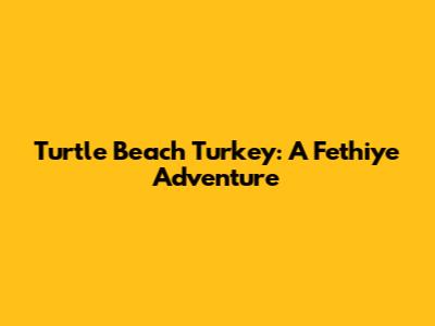 Turtle Beach Turkey: A Fethiye Adventure