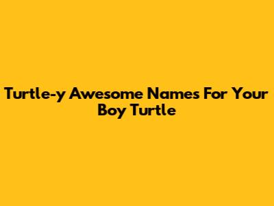 Turtle-y Awesome Names For Your Boy Turtle