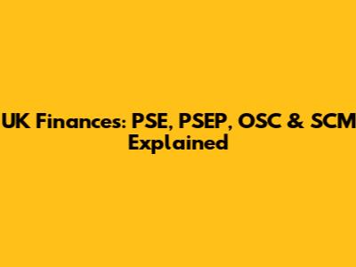 UK Finances: PSE, PSEP, OSC & SCM Explained
