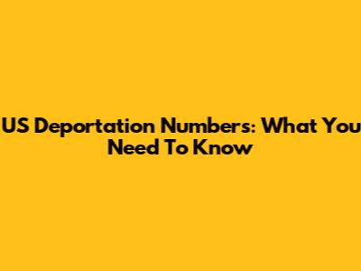 US Deportation Numbers: What You Need To Know