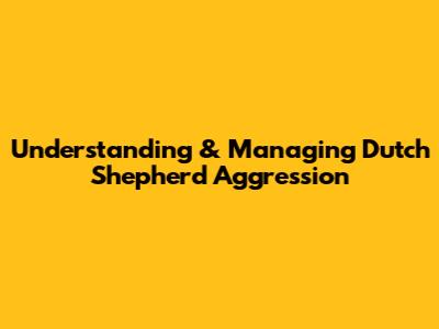 Understanding & Managing Dutch Shepherd Aggression