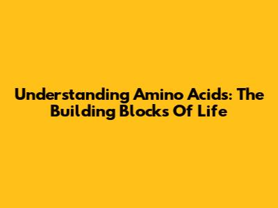 Understanding Amino Acids: The Building Blocks Of Life