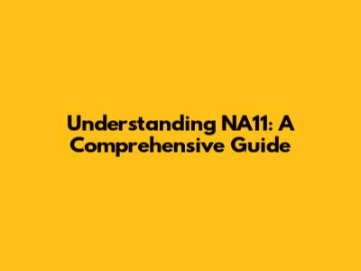 Understanding NA11: A Comprehensive Guide