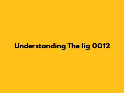 Understanding The Iig 0012