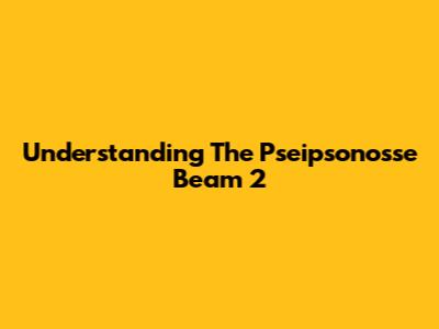 Understanding The Pseipsonosse Beam 2