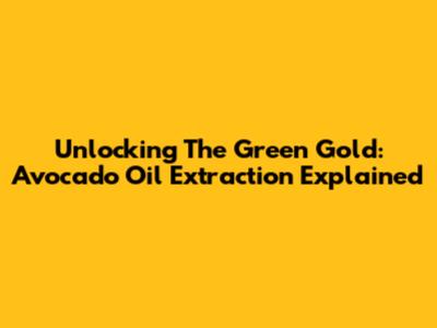 Unlocking The Green Gold: Avocado Oil Extraction Explained