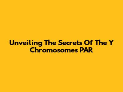 Unveiling The Secrets Of The Y Chromosome's PAR