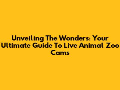 Unveiling The Wonders: Your Ultimate Guide To Live Animal Zoo Cams