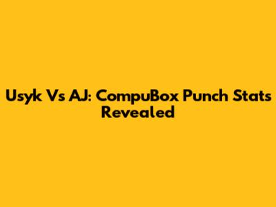Usyk Vs AJ: CompuBox Punch Stats Revealed