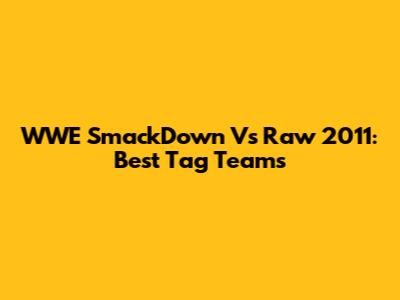 WWE SmackDown Vs Raw 2011: Best Tag Teams