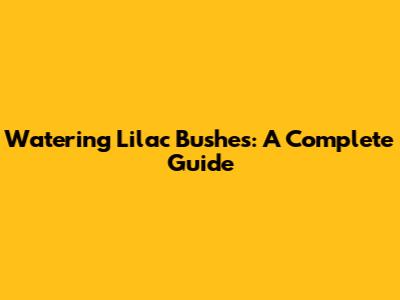 Watering Lilac Bushes: A Complete Guide