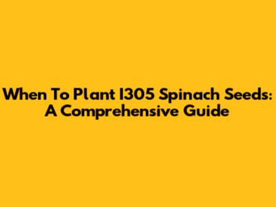 When To Plant I305 Spinach Seeds: A Comprehensive Guide