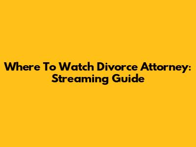 Where To Watch Divorce Attorney: Streaming Guide