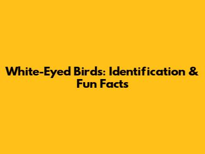 White-Eyed Birds: Identification & Fun Facts
