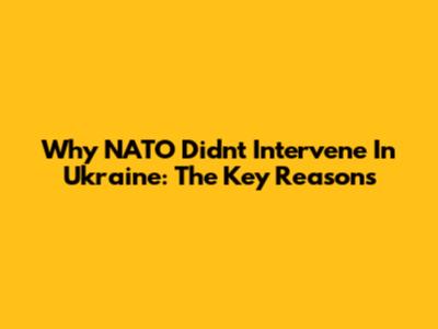 Why NATO Didn't Intervene In Ukraine: The Key Reasons