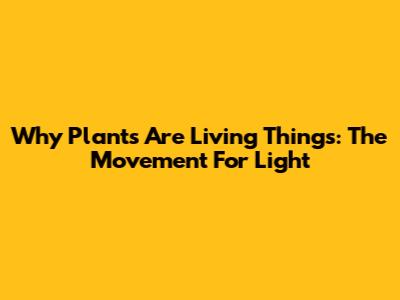 Why Plants Are Living Things: The Movement For Light