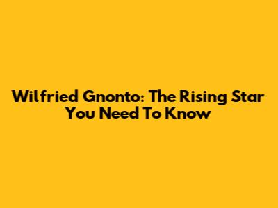 Wilfried Gnonto: The Rising Star You Need To Know