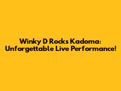 Winky D Rocks Kadoma: Unforgettable Live Performance!