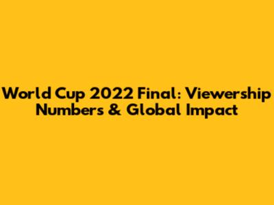 World Cup 2022 Final: Viewership Numbers & Global Impact
