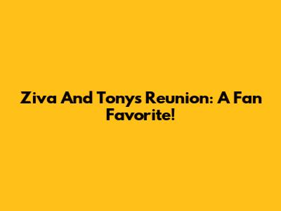Ziva And Tony's Reunion: A Fan Favorite!